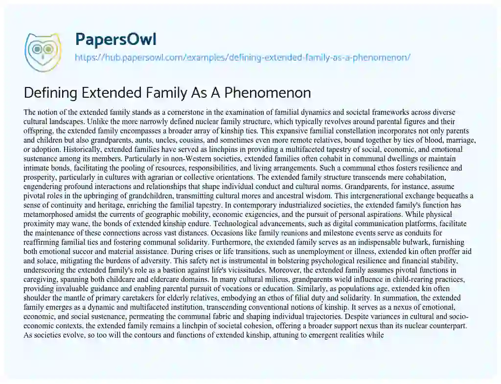 Essay on Defining Extended Family As A Phenomenon