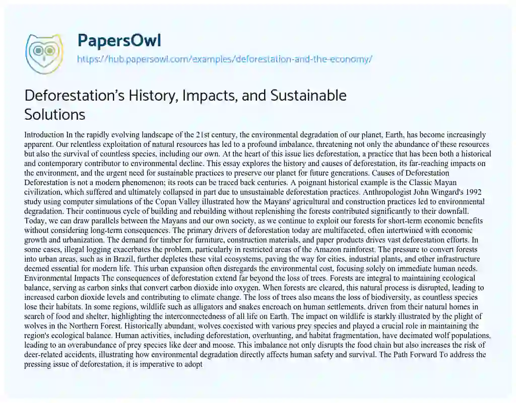 Essay on Deforestation’s History, Impacts, and Sustainable Solutions