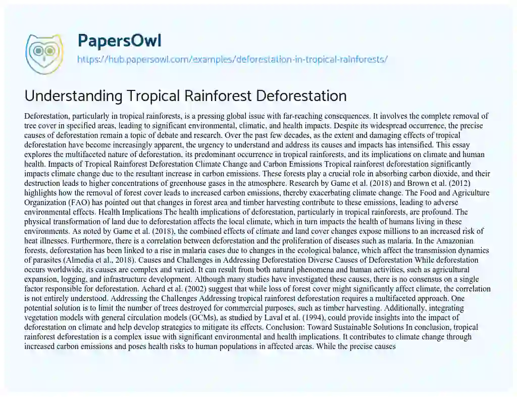 Essay on Understanding Tropical Rainforest Deforestation