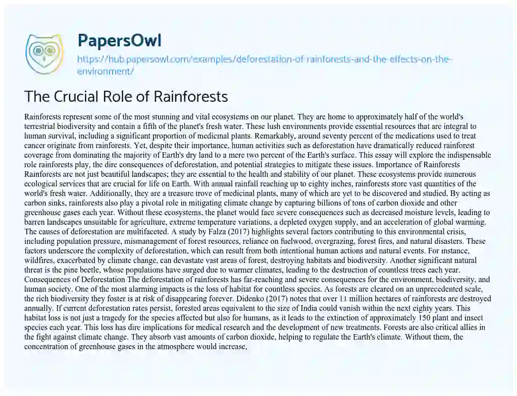 Essay on The Crucial Role of Rainforests