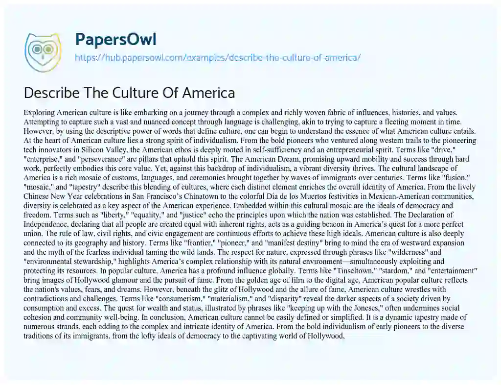 Essay on Describe The Culture Of America