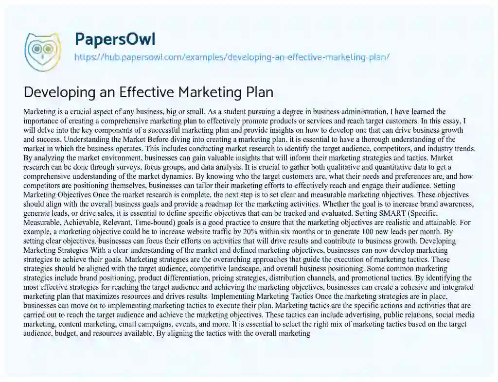 Essay on Developing an Effective Marketing Plan
