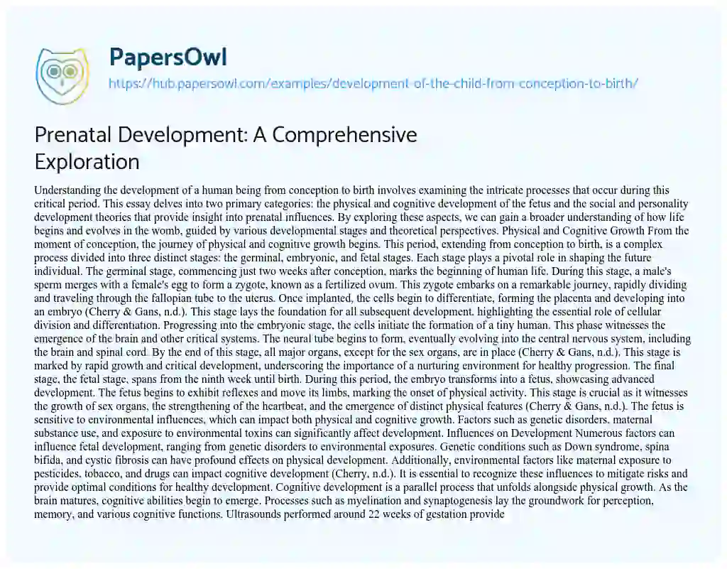 Essay on Prenatal Development: A Comprehensive Exploration