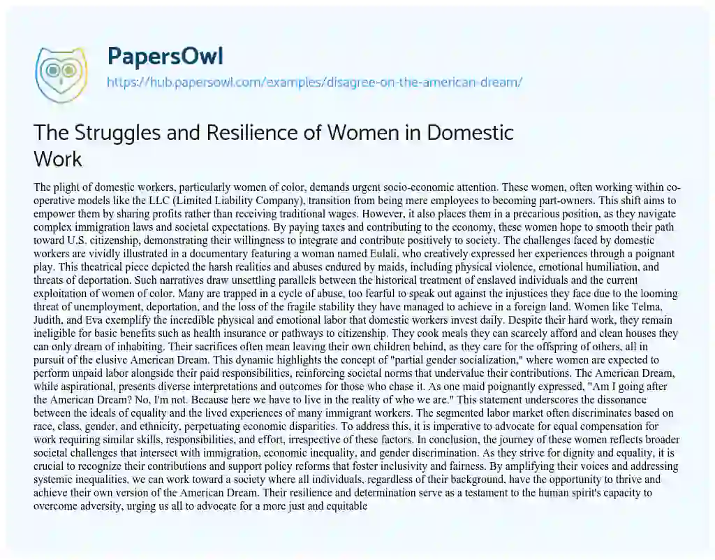 Essay on The Struggles and Resilience of Women in Domestic Work