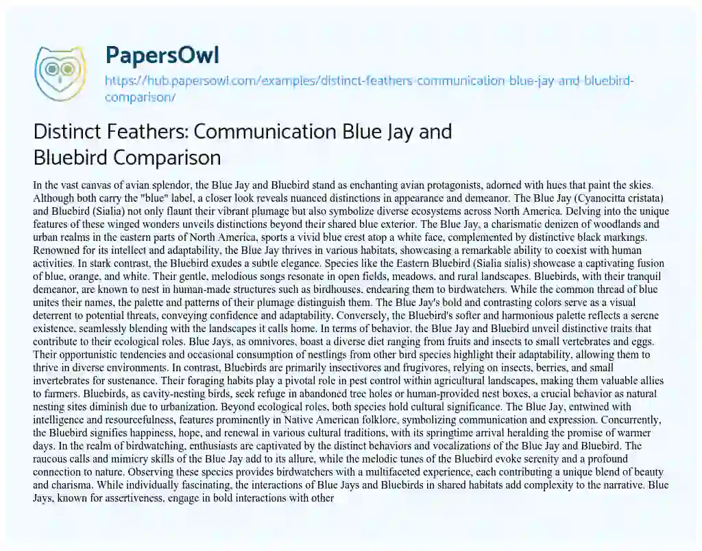 Essay on Distinct Feathers: Communication Blue Jay and Bluebird Comparison