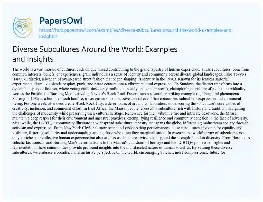 Essay on Diverse Subcultures Around the World: Examples and Insights