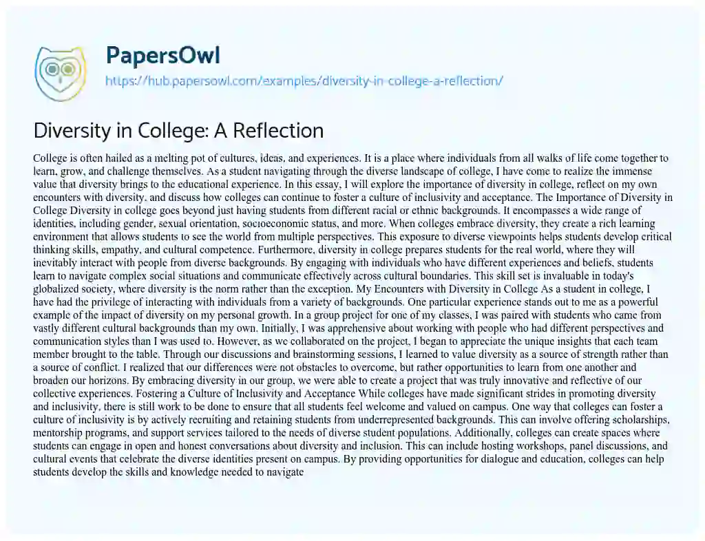 Essay on Diversity in College: A Reflection