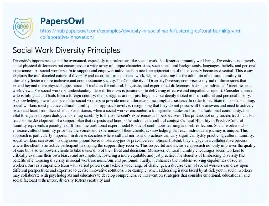 Essay on Social Work Diversity Principles