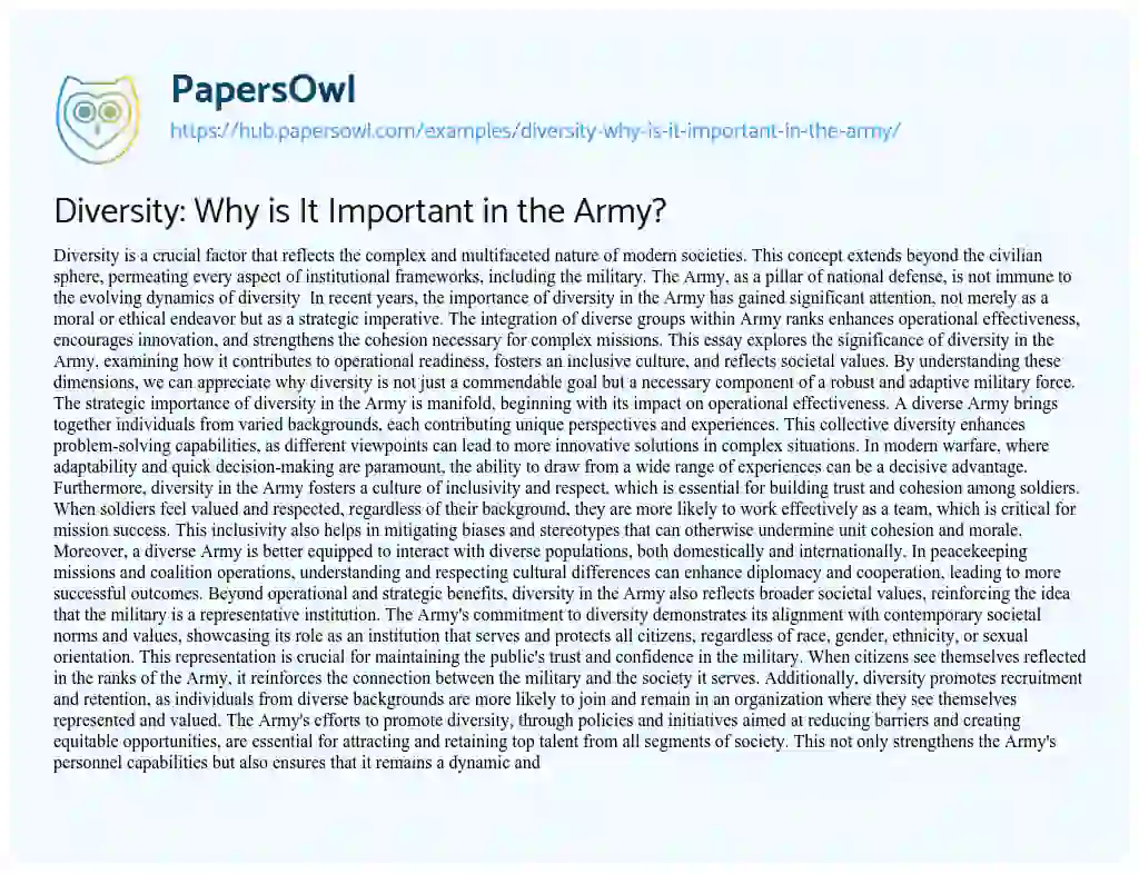 Essay on Diversity: Why is It Important in the Army?
