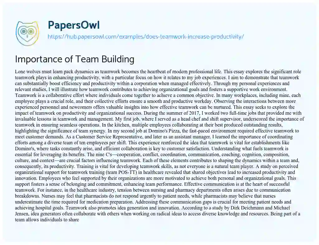 Essay on Importance of Team Building