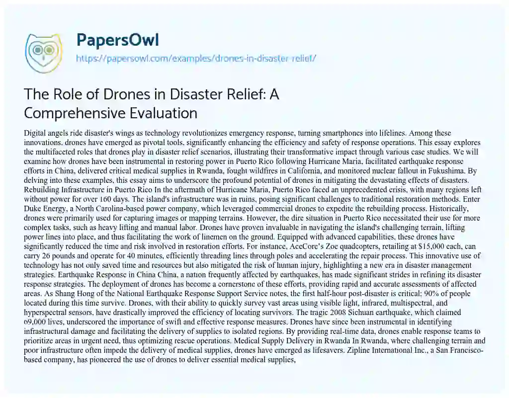Essay on The Role of Drones in Disaster Relief: A Comprehensive Evaluation