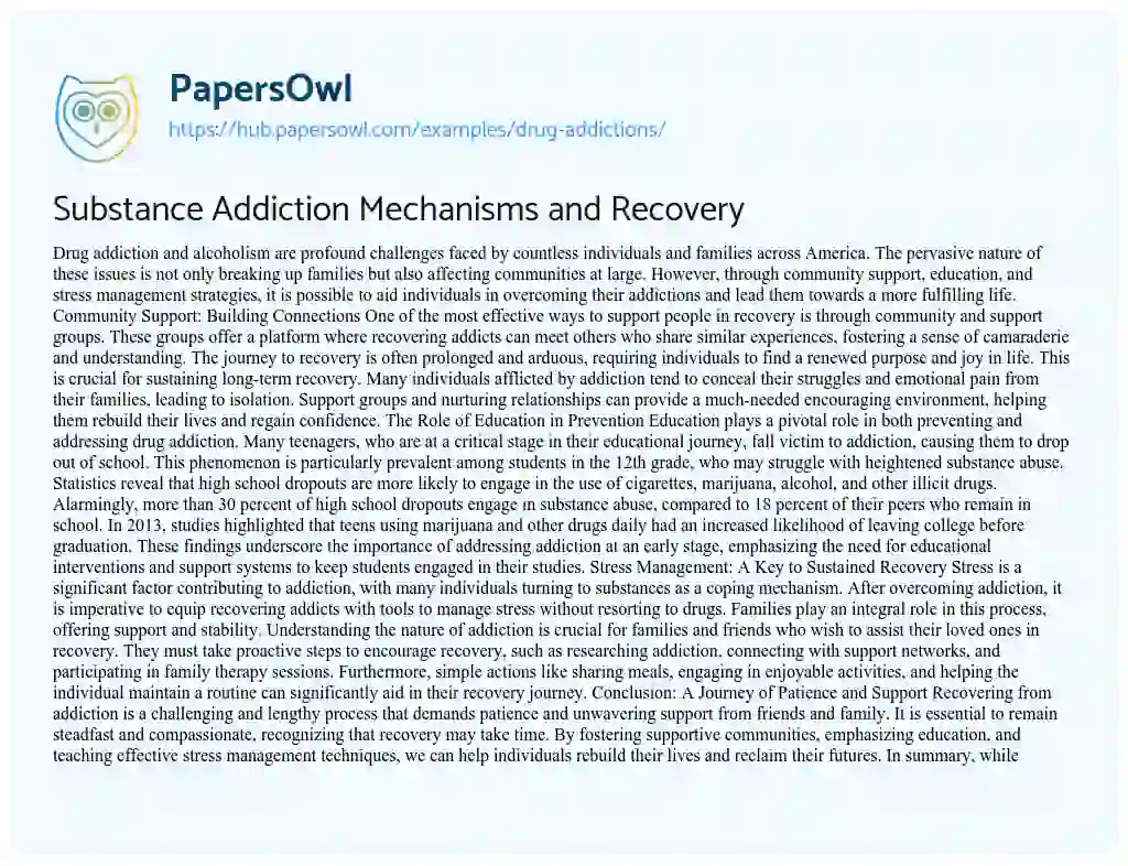 Essay on Substance Addiction Mechanisms and Recovery