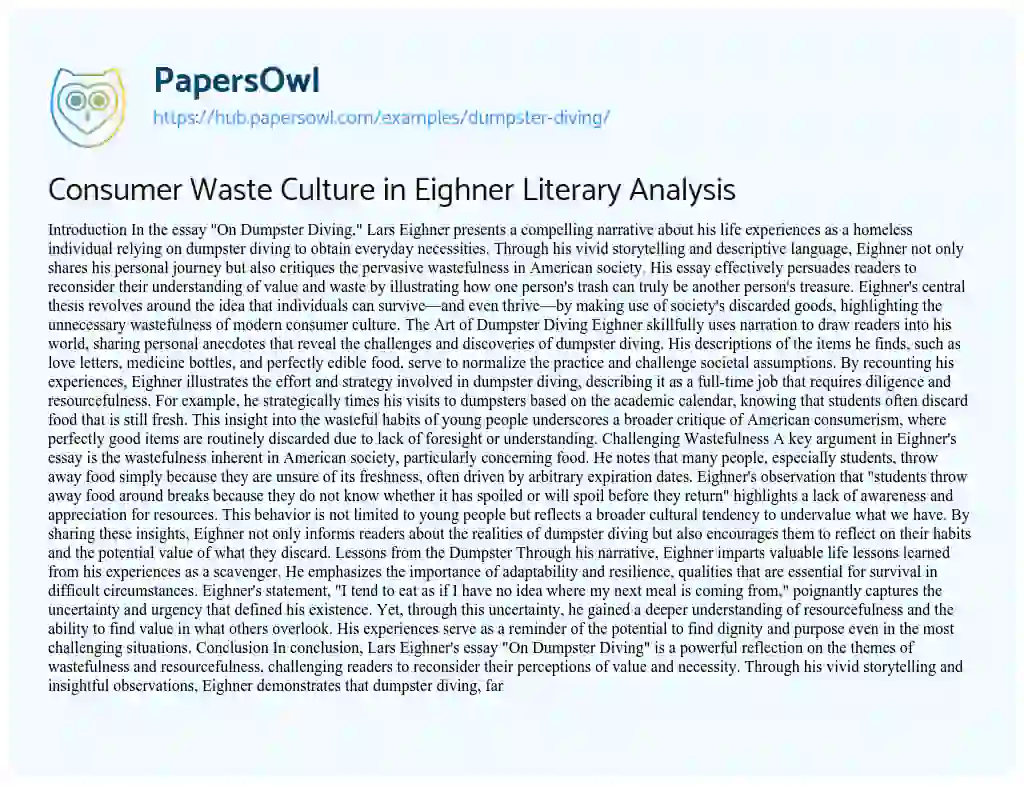 Essay on Consumer Waste Culture in Eighner Literary Analysis