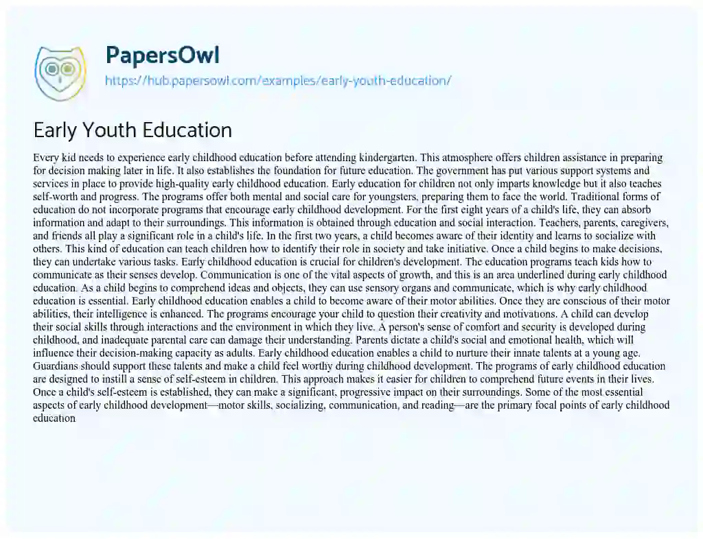 Essay on Early Youth Education