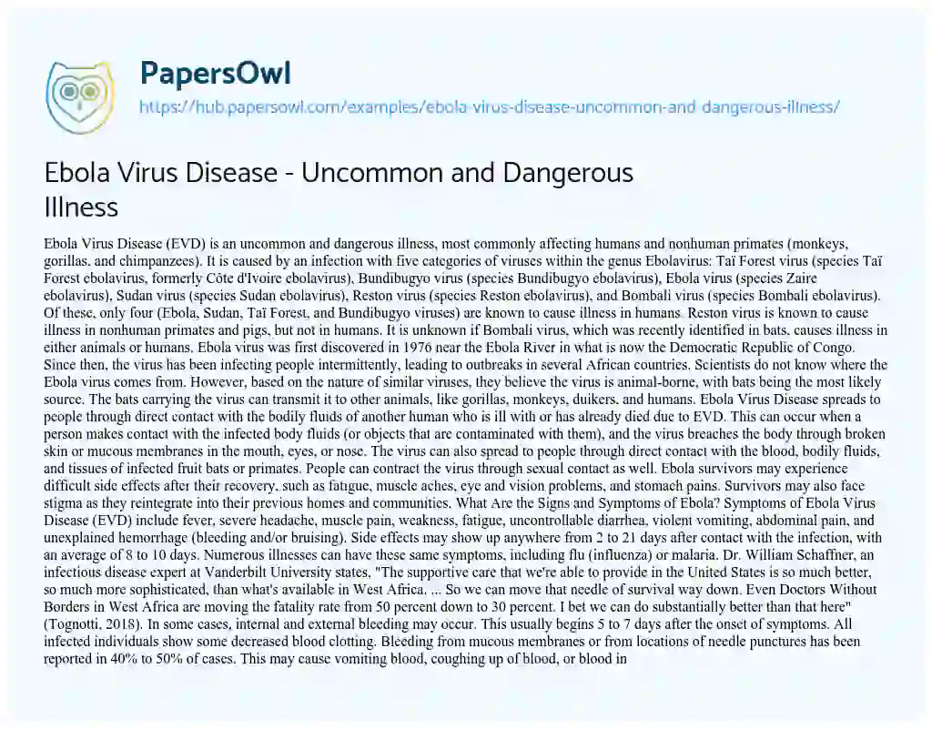 Essay on Ebola Virus Disease – Uncommon and Dangerous Illness