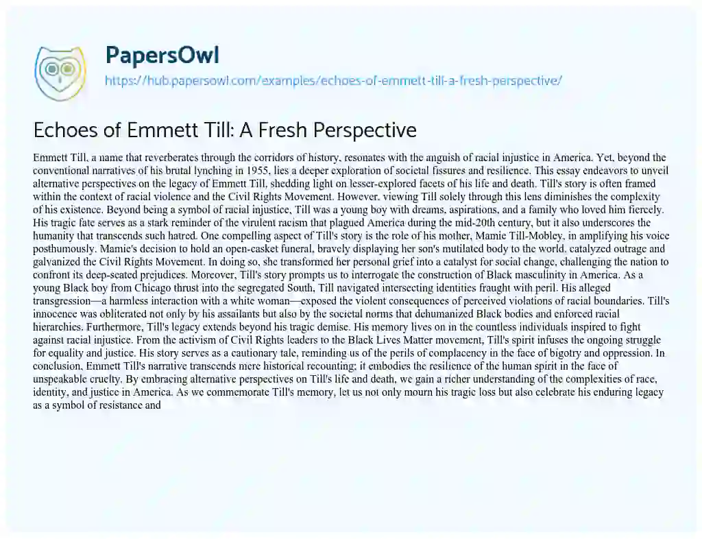 Essay on Echoes of Emmett Till: A Fresh Perspective