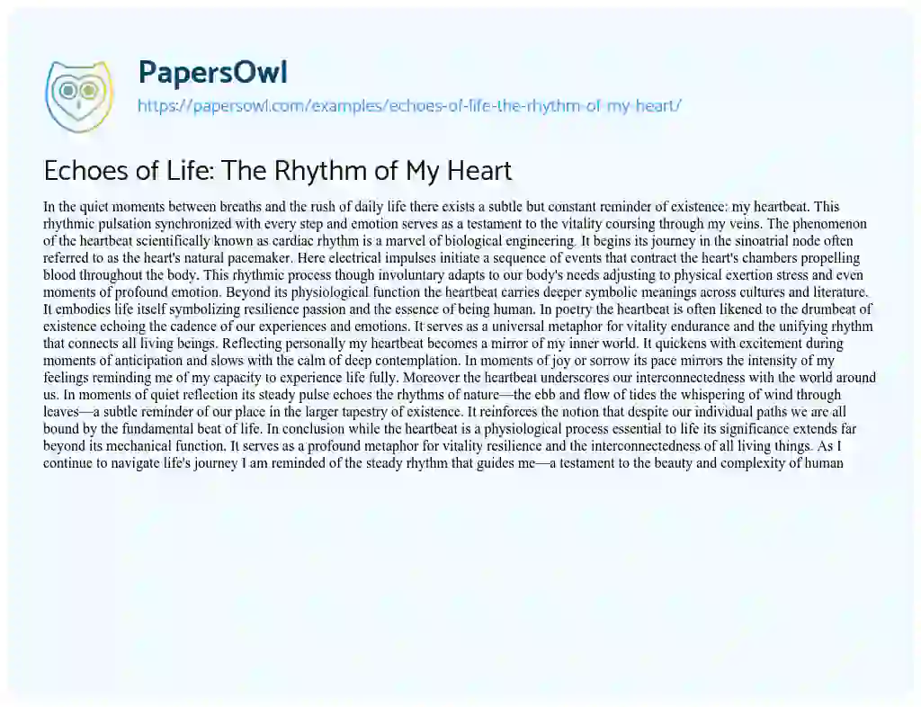 Essay on Echoes of Life: The Rhythm of My Heart