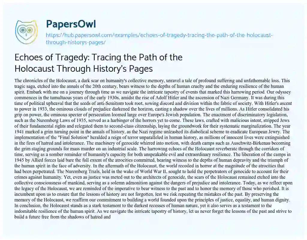 Essay on Echoes of Tragedy: Tracing the Path of the Holocaust Through History’s Pages