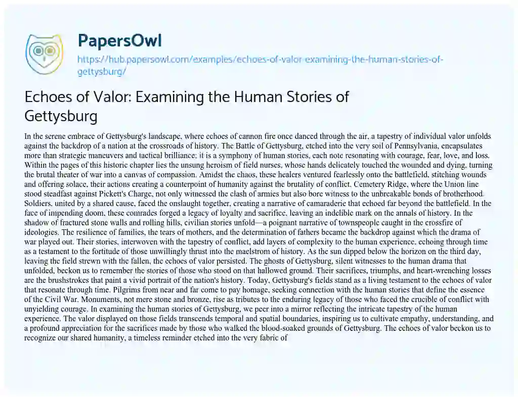 Essay on Echoes of Valor: Examining the Human Stories of Gettysburg