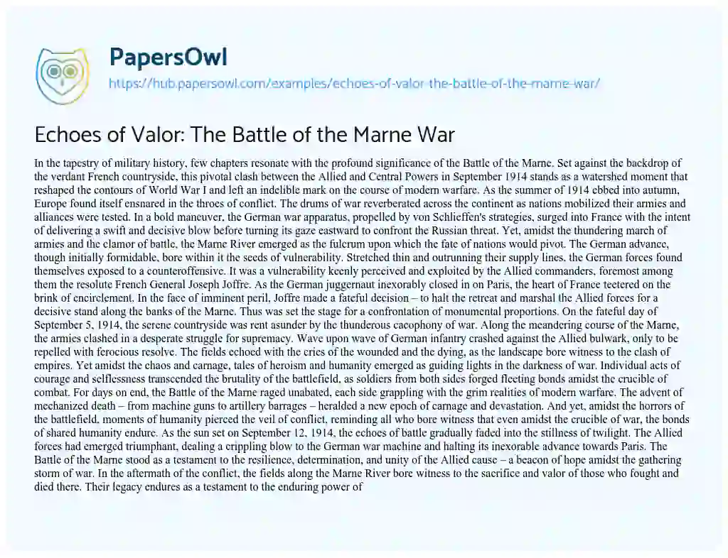 Essay on Echoes of Valor: The Battle of the Marne War