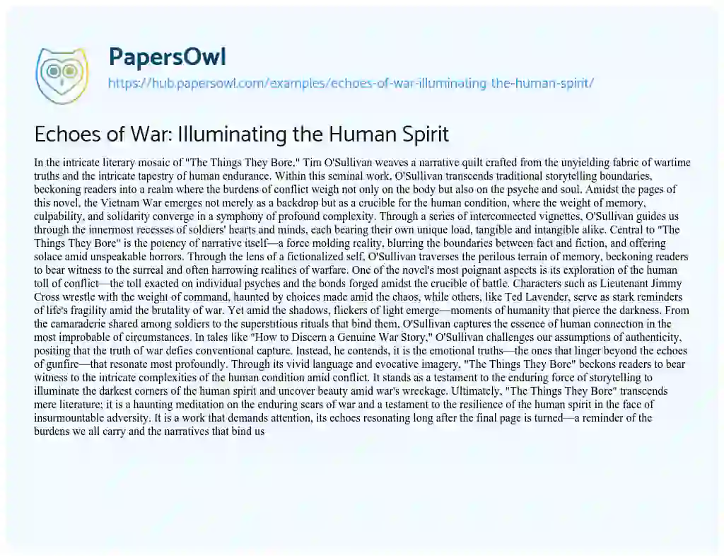 Essay on Echoes of War: Illuminating the Human Spirit