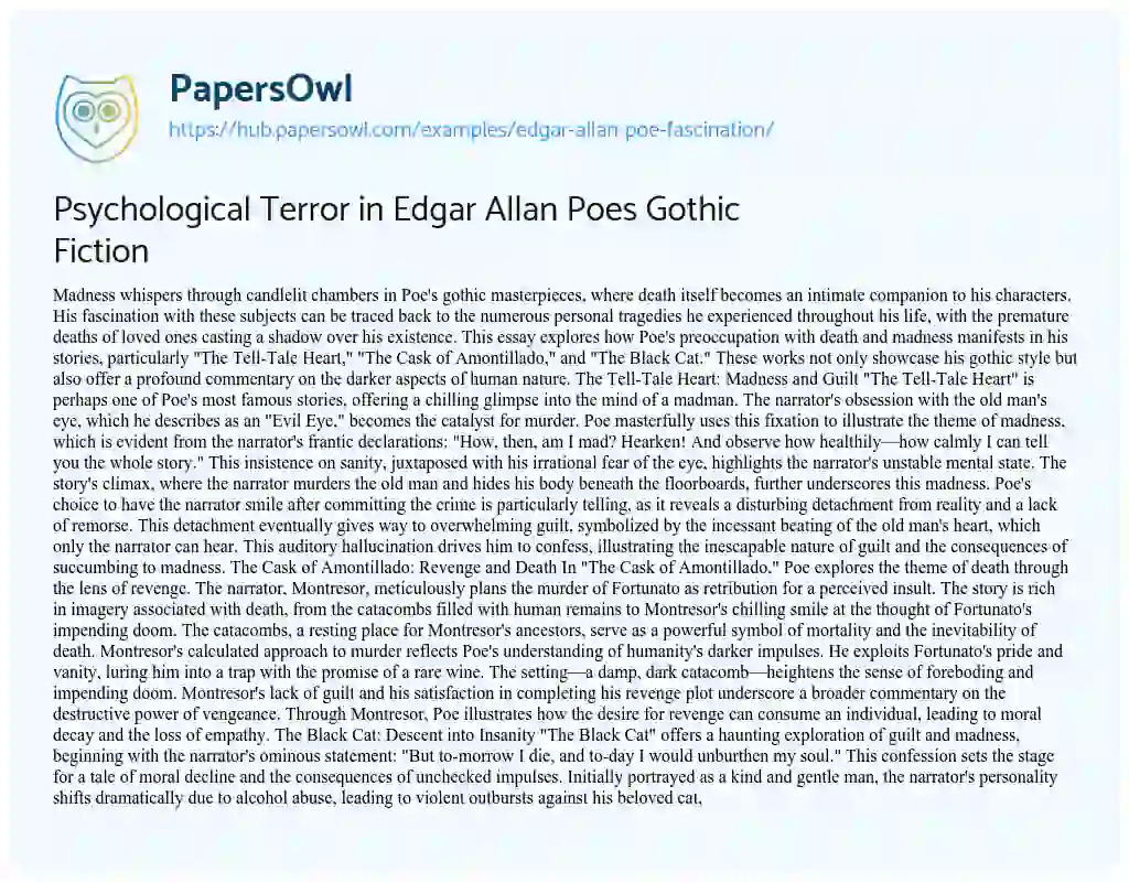 Essay on Psychological Terror in Edgar Allan Poes Gothic Fiction