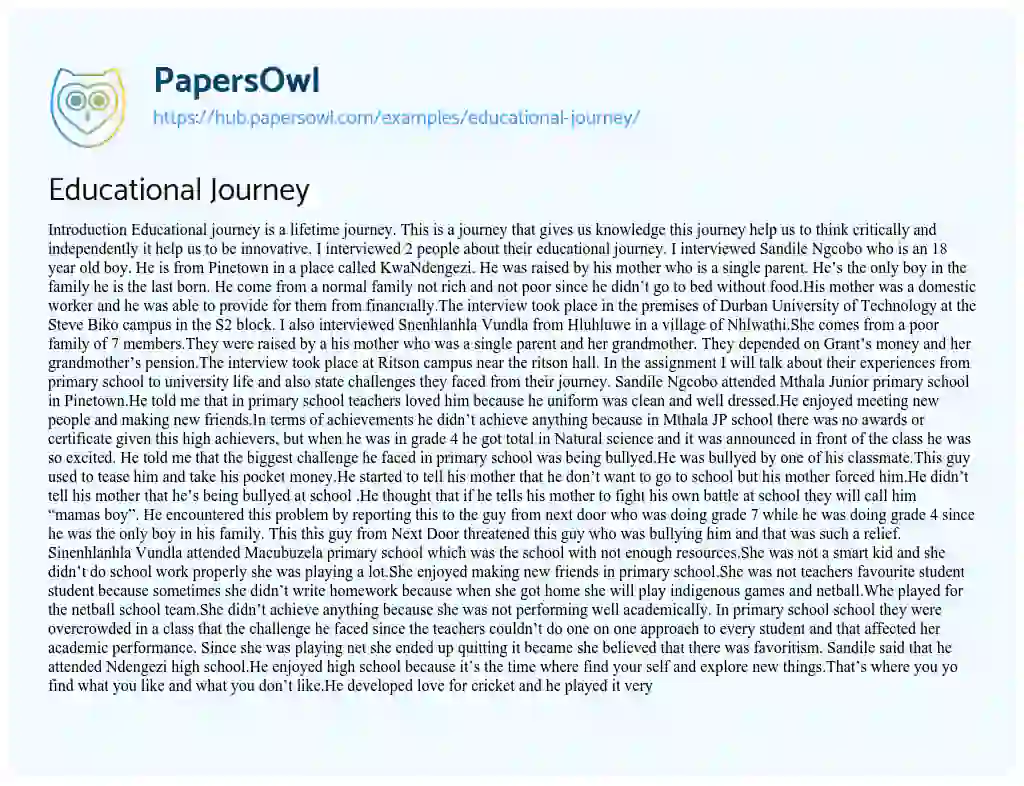 Essay on Educational Journey