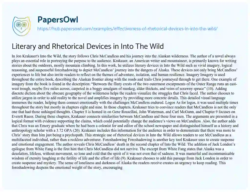 Essay on Literary and Rhetorical Devices in Into The Wild