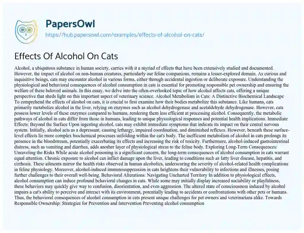 Essay on Effects Of Alcohol On Cats