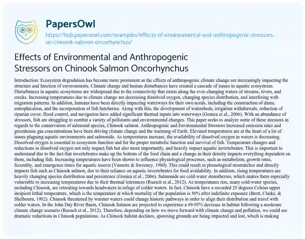 Essay on Effects of Environmental and Anthropogenic Stressors on Chinook Salmon Oncorhynchus