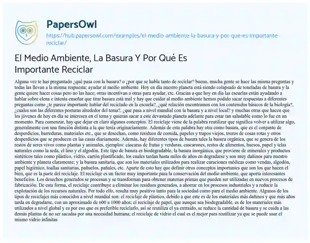 Essay on El Medio Ambiente, La Basura Y Por Qué Es Importante Reciclar