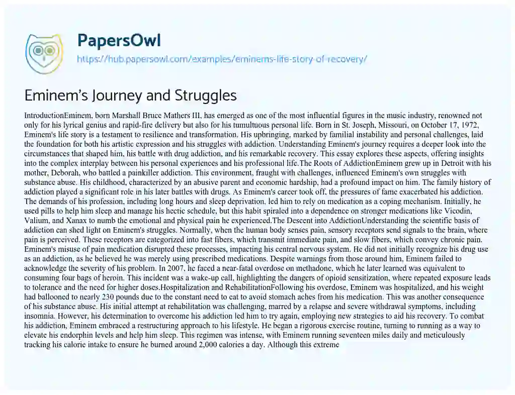 Essay on Eminem’s Journey and Struggles