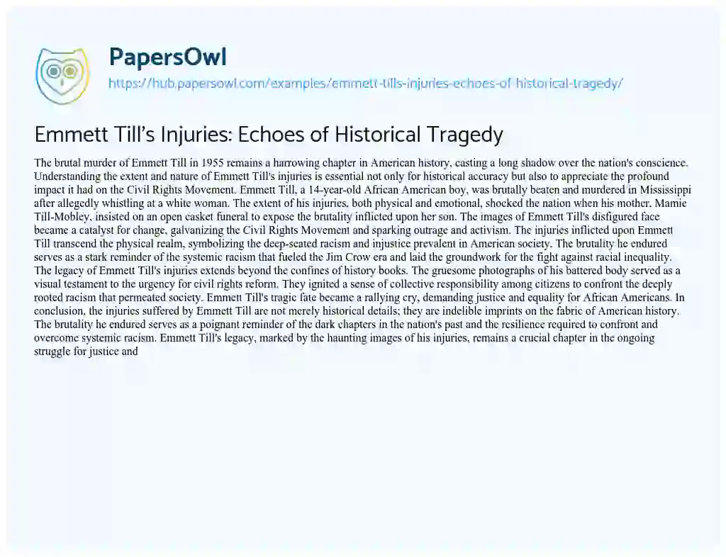 Essay on Emmett Till’s Injuries: Echoes of Historical Tragedy