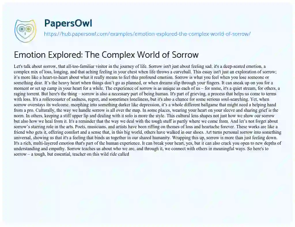 Essay on Emotion Explored: The Complex World of Sorrow
