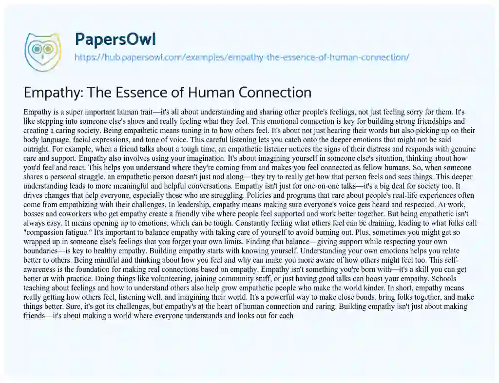 Essay on Empathy: The Essence of Human Connection