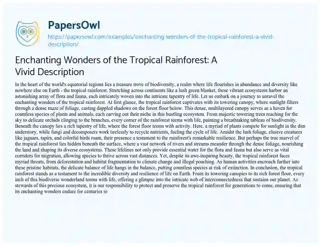 Essay on Enchanting Wonders of the Tropical Rainforest: A Vivid Description