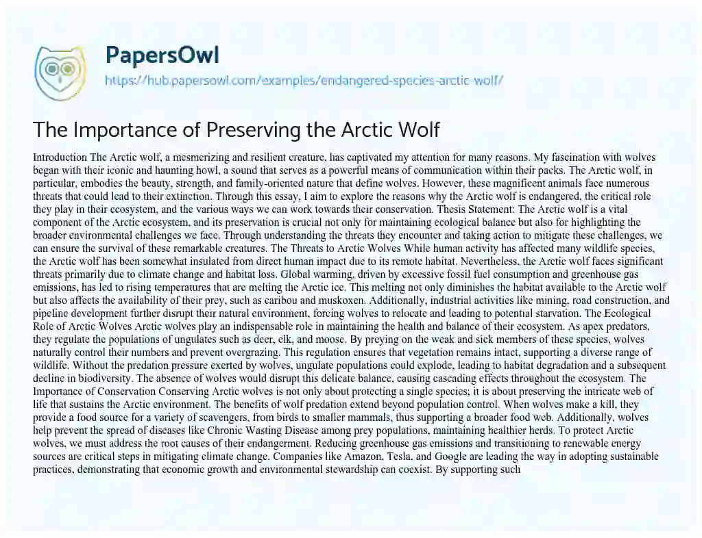 Essay on The Importance of Preserving the Arctic Wolf