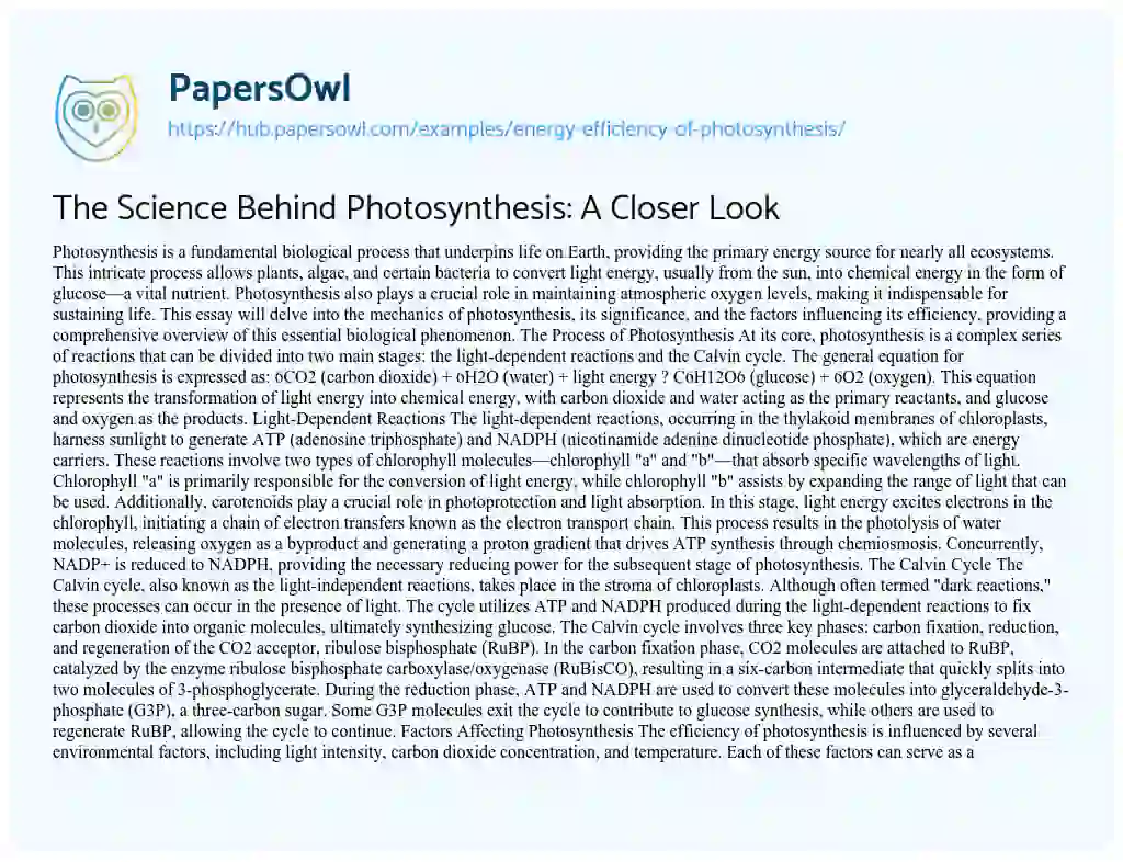 Essay on The Science Behind Photosynthesis: A Closer Look
