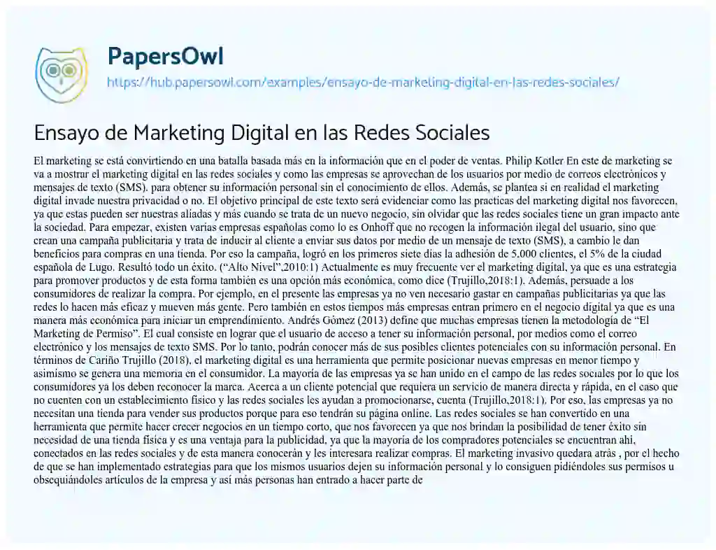 Essay on Ensayo de Marketing Digital en las Redes Sociales