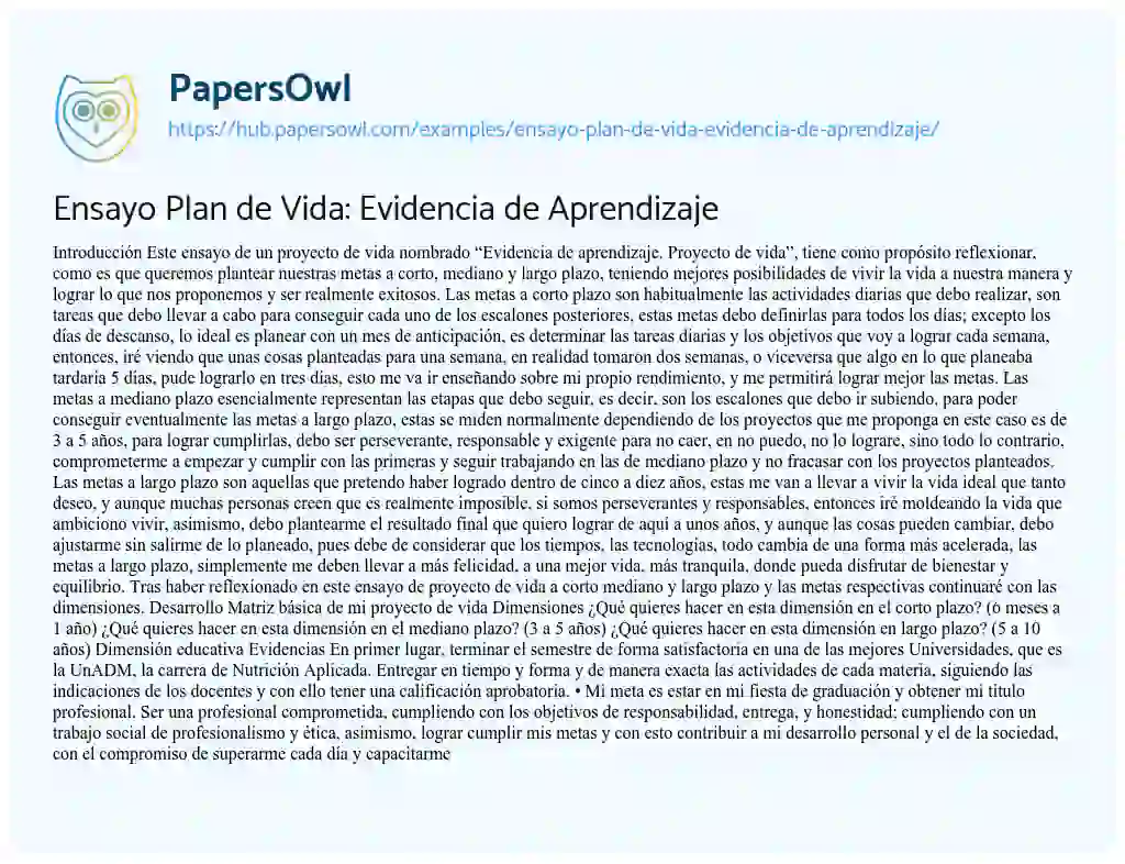 Essay on Ensayo Plan de Vida: Evidencia de Aprendizaje