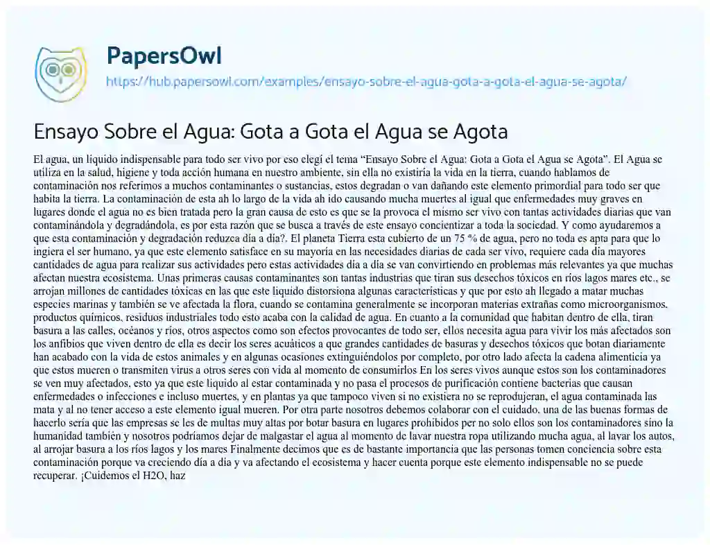 Essay on Ensayo Sobre el Agua: Gota a Gota el Agua se Agota