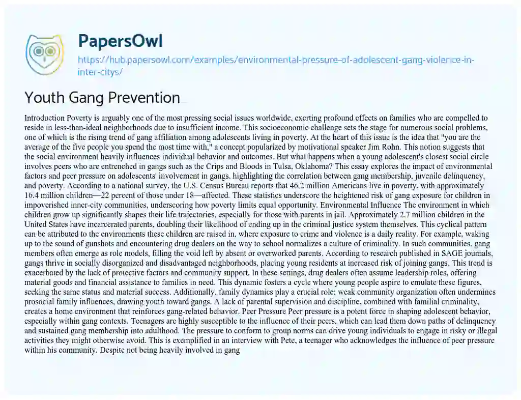 Essay on Youth Gang Prevention