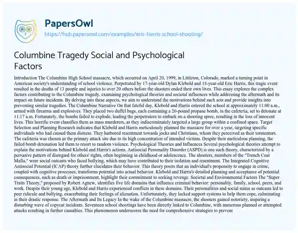 Essay on Columbine Tragedy Social and Psychological Factors