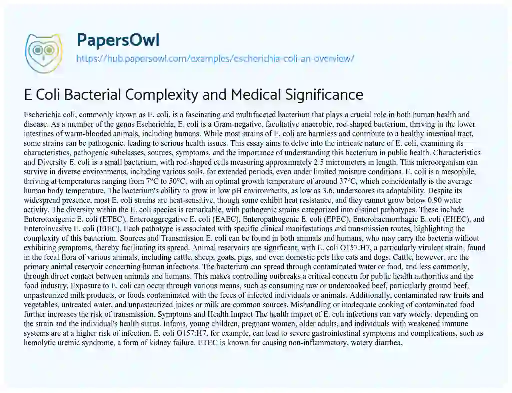 Essay on E Coli Bacterial Complexity and Medical Significance