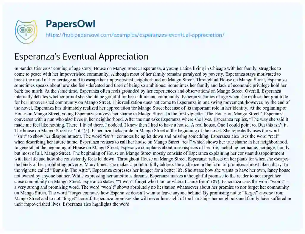 Essay on Esperanza’s Eventual Appreciation