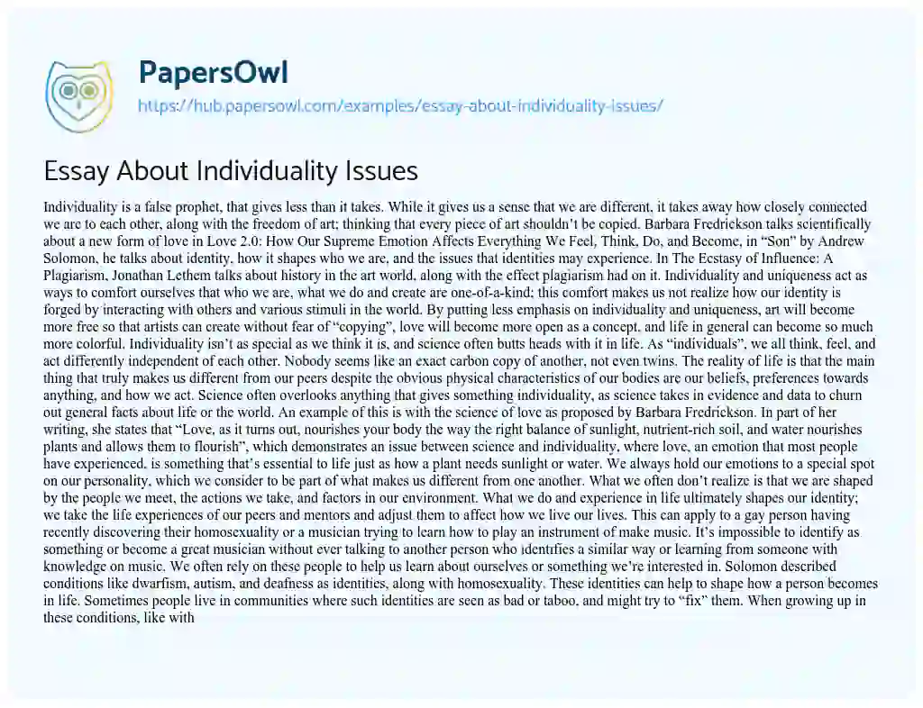 Essay on Essay About Individuality Issues
