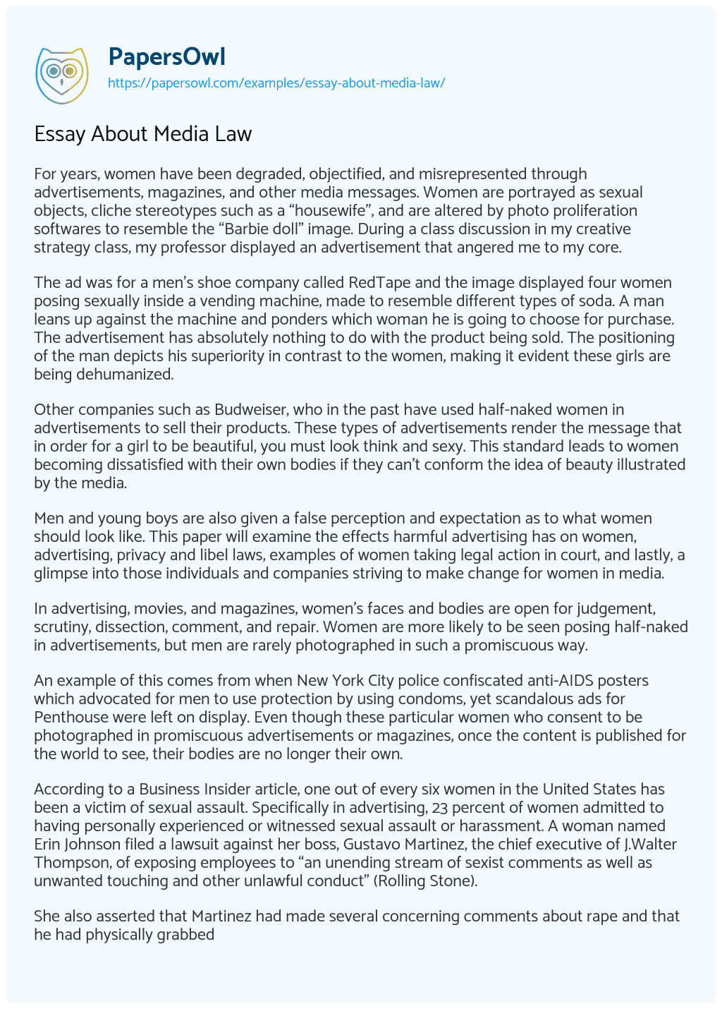 Essay on Essay About Media Law