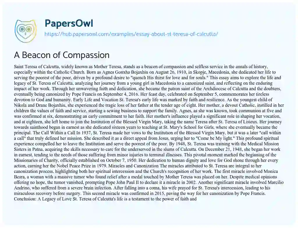 Essay on A Beacon of Compassion