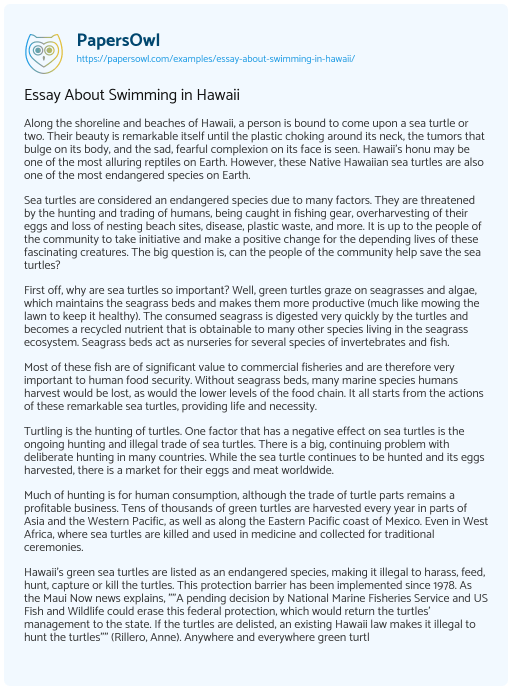 Essay on Essay About Swimming in Hawaii
