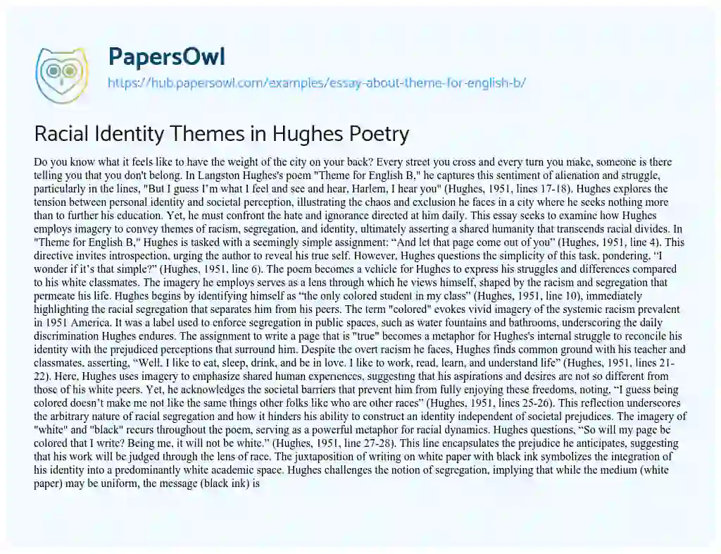 Essay on Racial Identity Themes in Hughes Poetry